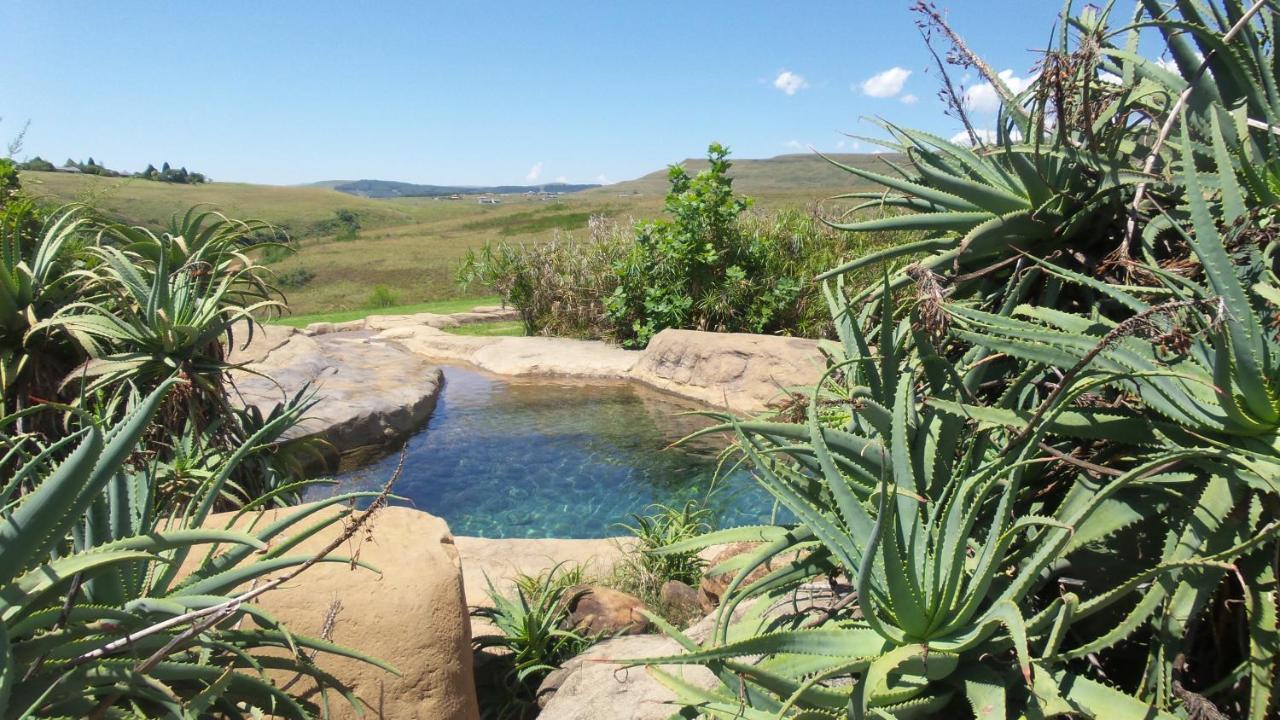 Wits End Mountain Resort Champagne Valley Exterior foto